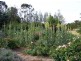 90 Nicholson Road, Stanthorpe QLD 4380