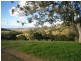 1277 Djuan Road, Haden QLD 4353