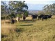 1277 Djuan Road, Haden QLD 4353