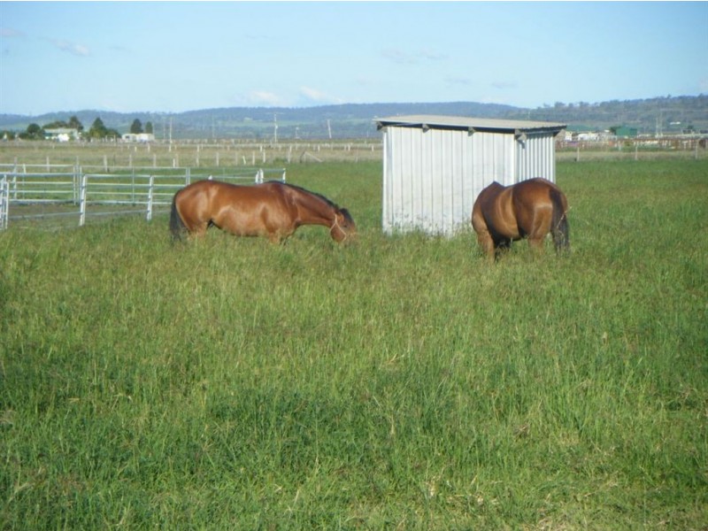 509 Wyreema- Cambooya Road, Toowoomba QLD 4350