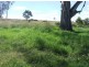 520 Knust Road, Mount Tyson QLD 4356