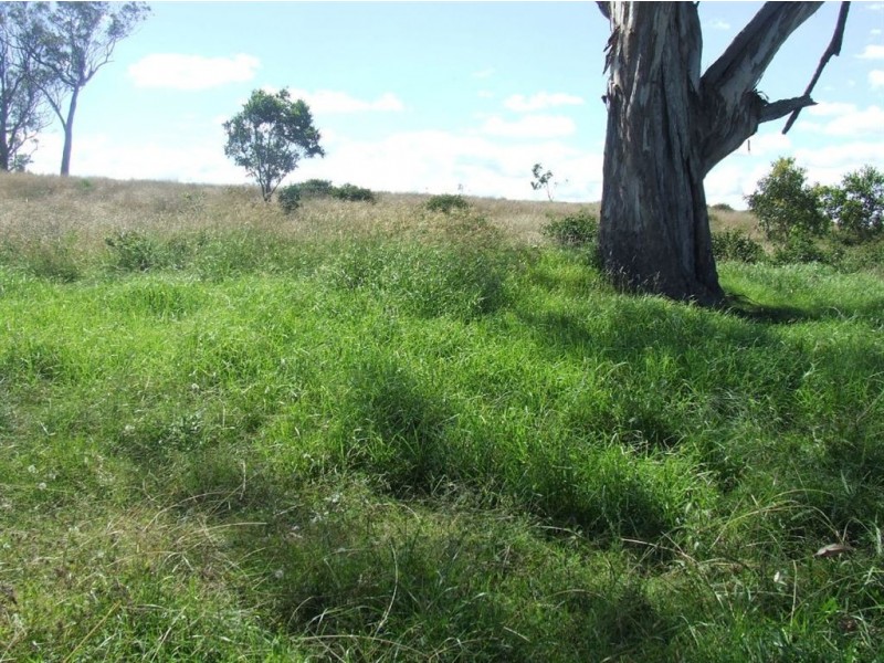 520 Knust Road, Mount Tyson QLD 4356