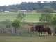 520 Knust Road, Mount Tyson QLD 4356