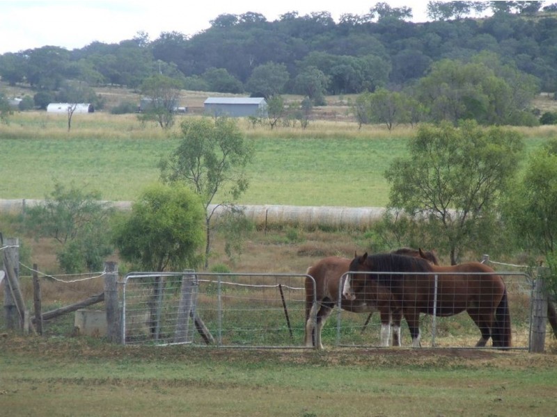 520 Knust Road, Mount Tyson QLD 4356
