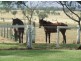 174 Purcell Road, Southbrook QLD 4363