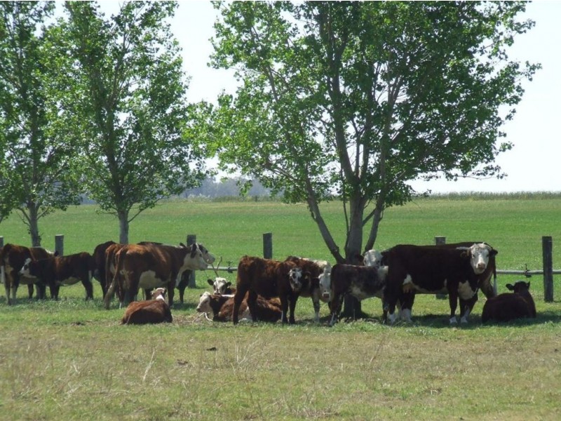 11985 Warrego Highway, Oakey QLD 4401