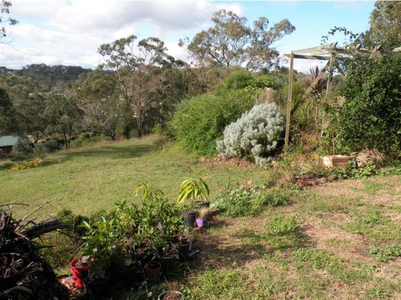 10 Hillview Court, Top Camp QLD 4350