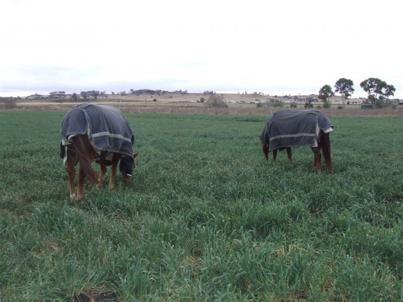 50 Creek Street, Cambooya QLD 4358