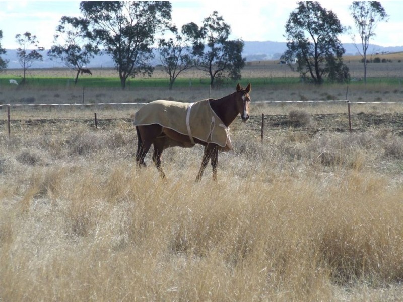 1 James Street, Cambooya QLD 4358