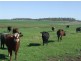 168 Richardson Road, Cambooya QLD 4358