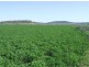 168 Richardson Road, Cambooya QLD 4358