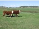 168 Richardson Road, Cambooya QLD 4358