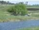 168 Richardson Road, Cambooya QLD 4358