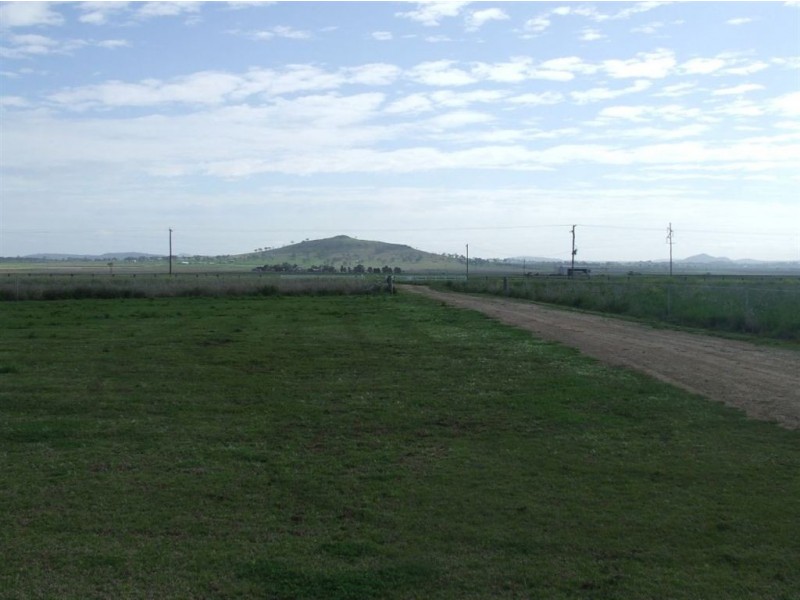 - Umbiram, Wyreema QLD 4352