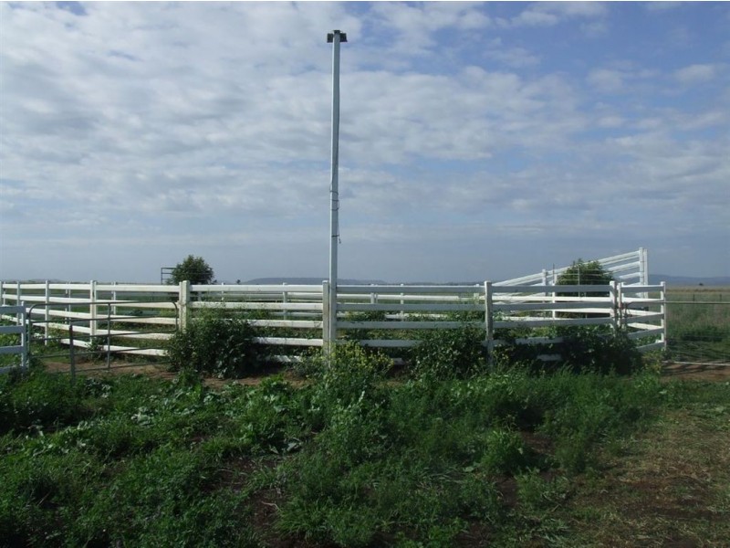 - Umbiram, Wyreema QLD 4352