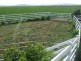 - Umbiram, Wyreema QLD 4352