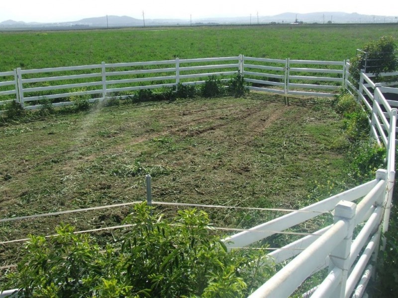 - Umbiram, Wyreema QLD 4352