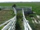 - Umbiram, Wyreema QLD 4352