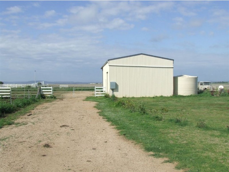 - Umbiram, Wyreema QLD 4352