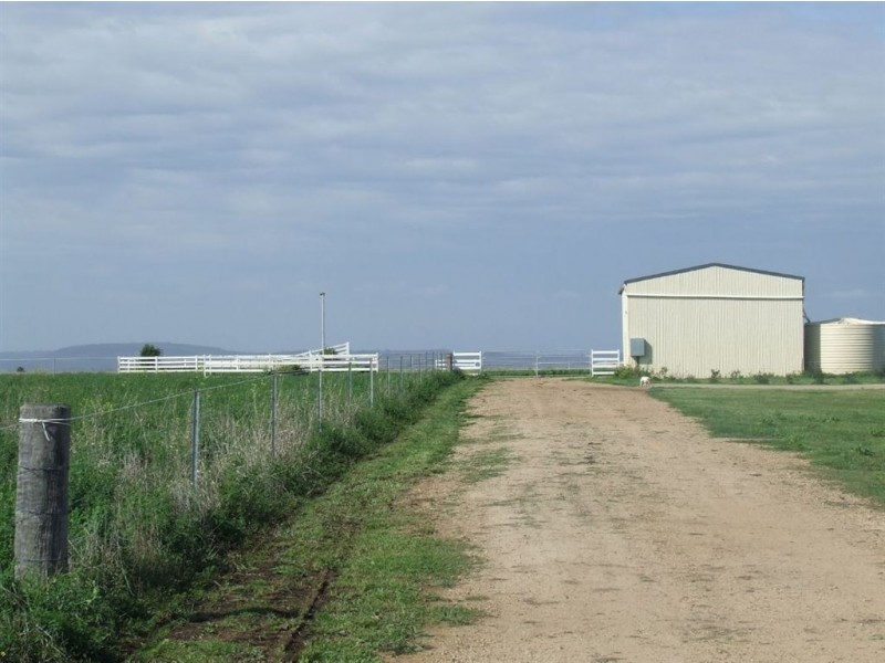 - Umbiram, Wyreema QLD 4352