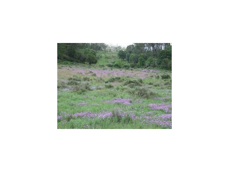 79 Rummells Road, Goombungee QLD 4354