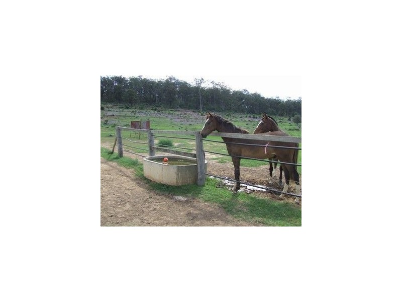 79 Rummells Road, Goombungee QLD 4354