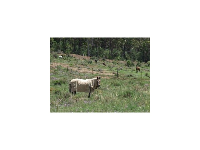 79 Rummells Road, Goombungee QLD 4354