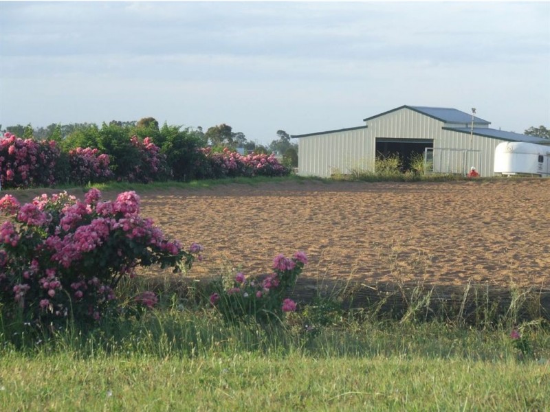 142 Althaus Road, Westbrook QLD 4350