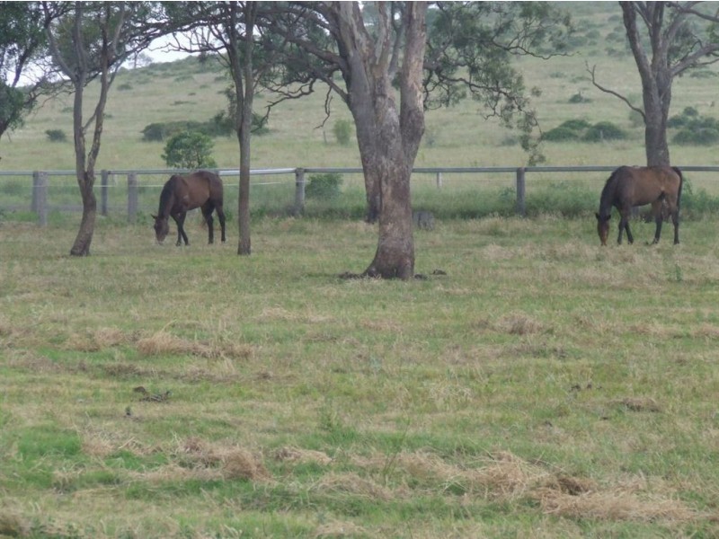 142 Althaus Road, Westbrook QLD 4350