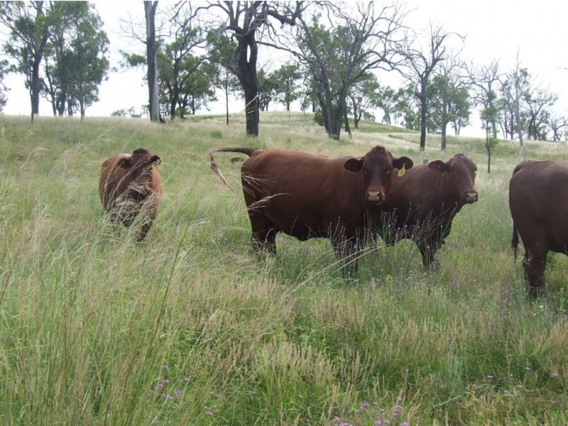 5 Goombungee Dam Road, Goombungee QLD 4354