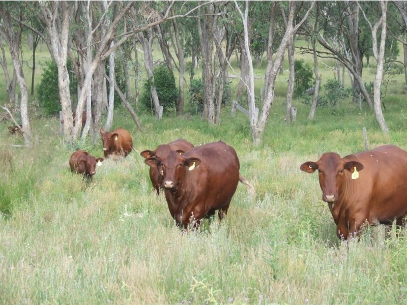 5 Goombungee Dam Road, Goombungee QLD 4354