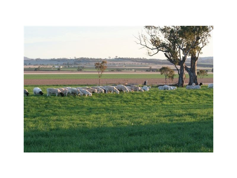 13328 New England Highway, Cambooya QLD 4358