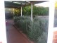 4 Burke Street, Rangeville QLD 4350