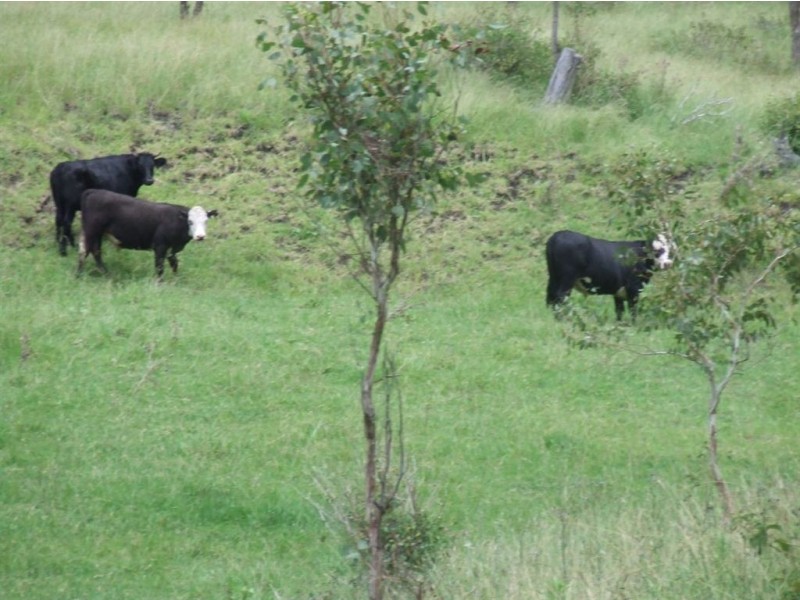 274 Sawpit Road, South Toowoomba QLD 4350