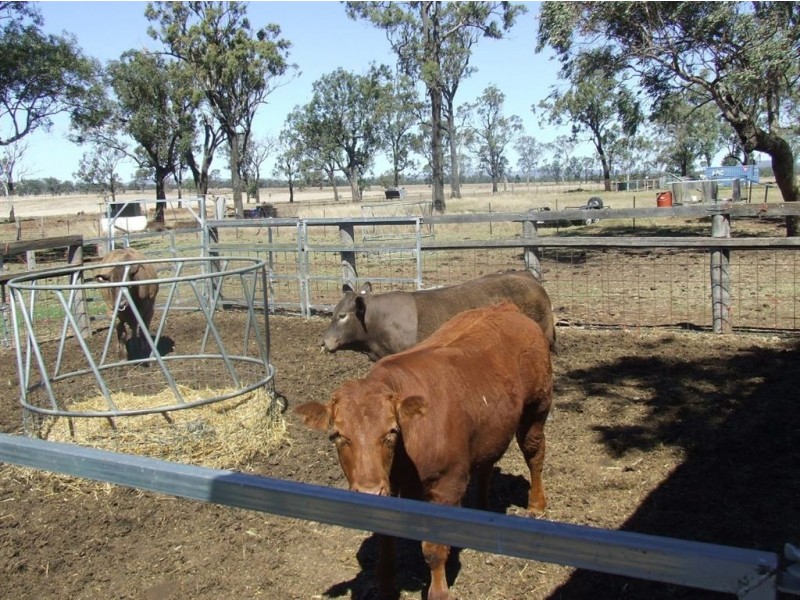 245 Wyreema Athol Road, Athol QLD 4350