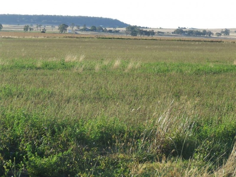 57 Pilton Road, Nobby QLD 4360