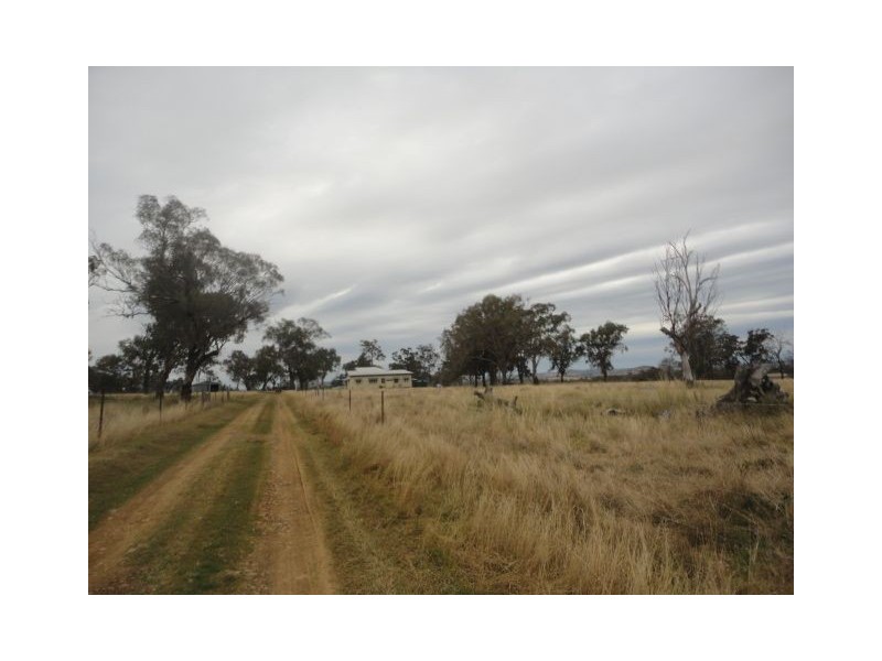 245 Wyreema Athol Road, Athol QLD 4350