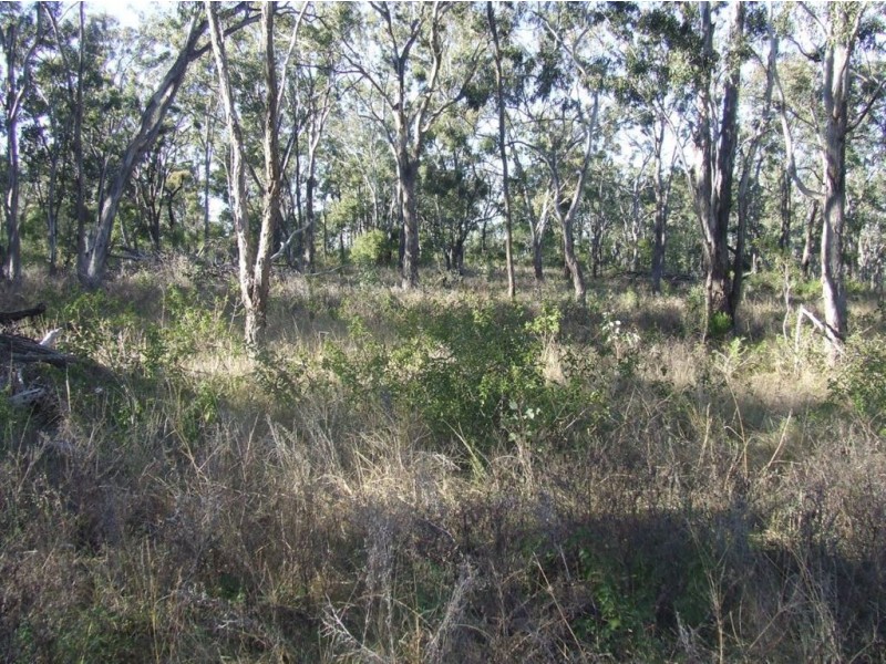 310 Bernard Road, Nobby QLD 4360