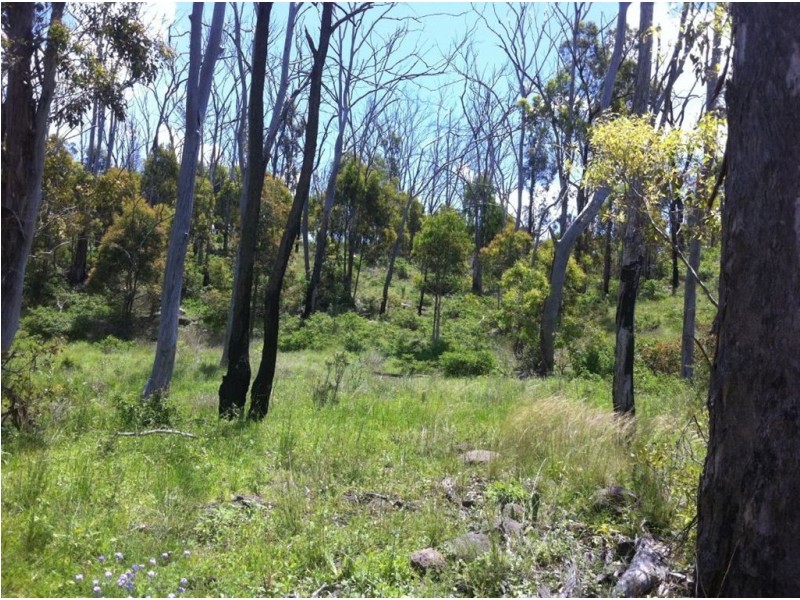 310 Bernard Road, Nobby QLD 4360