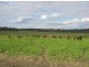 161 Murlaggan Road, Pittsworth QLD 4356