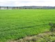 161 Murlaggan Road, Pittsworth QLD 4356