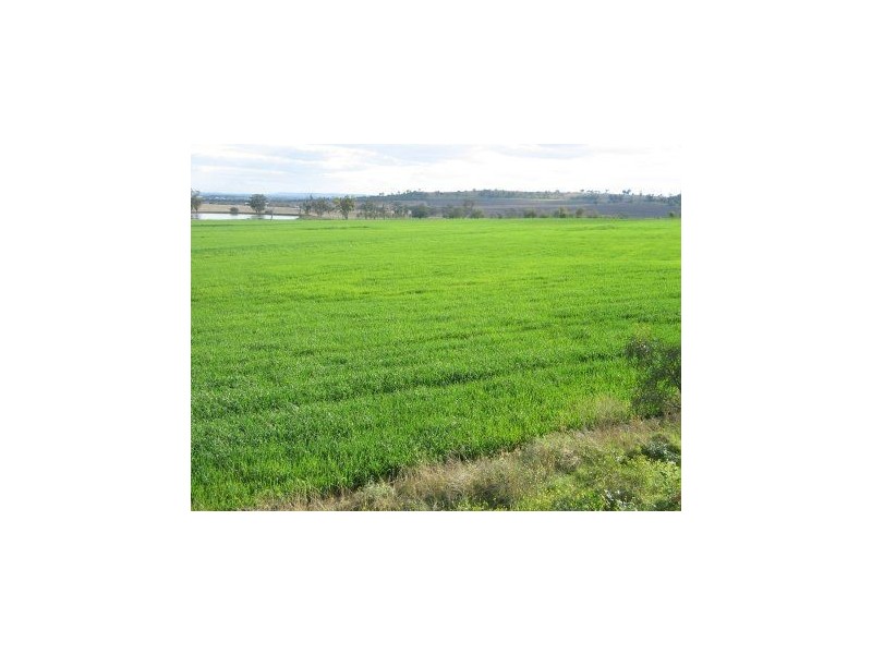 161 Murlaggan Road, Pittsworth QLD 4356