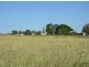 1391 Cudmore Road, Nobby QLD 4360