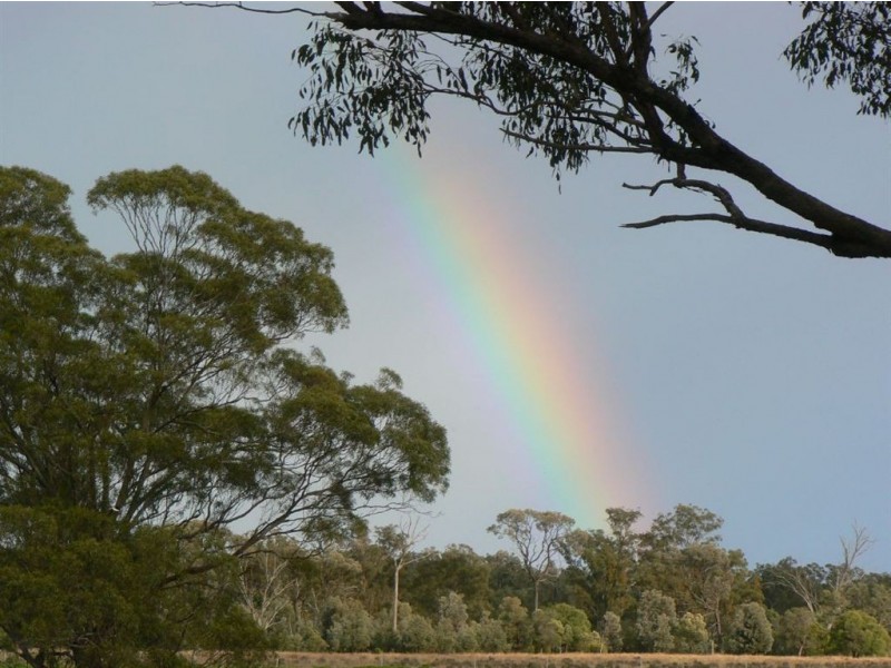 Carlton Park, Limevale QLD 4384