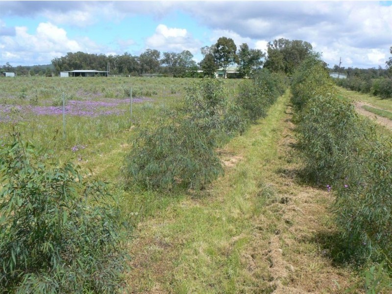 Carlton Park, Limevale QLD 4384