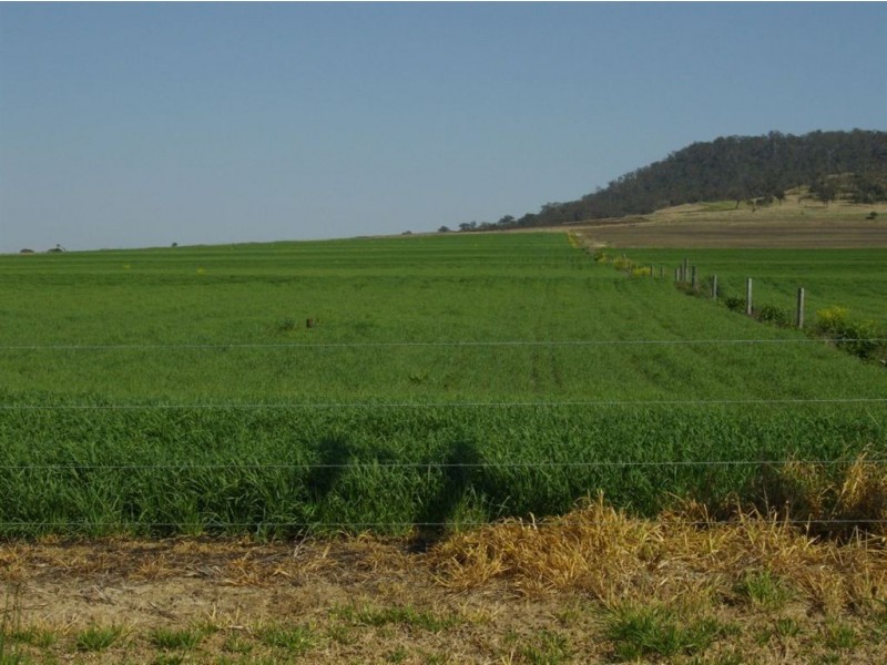 57 Budgee Road, Budgee QLD 4359