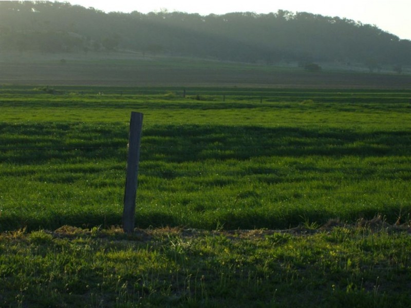 57 Budgee Road, Budgee QLD 4359