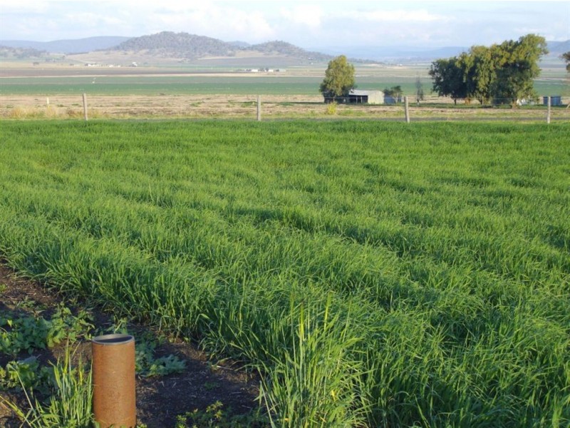 57 Budgee Road, Budgee QLD 4359