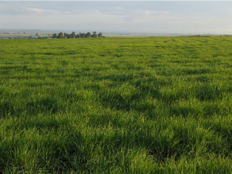 57 Budgee Road, Budgee QLD 4359