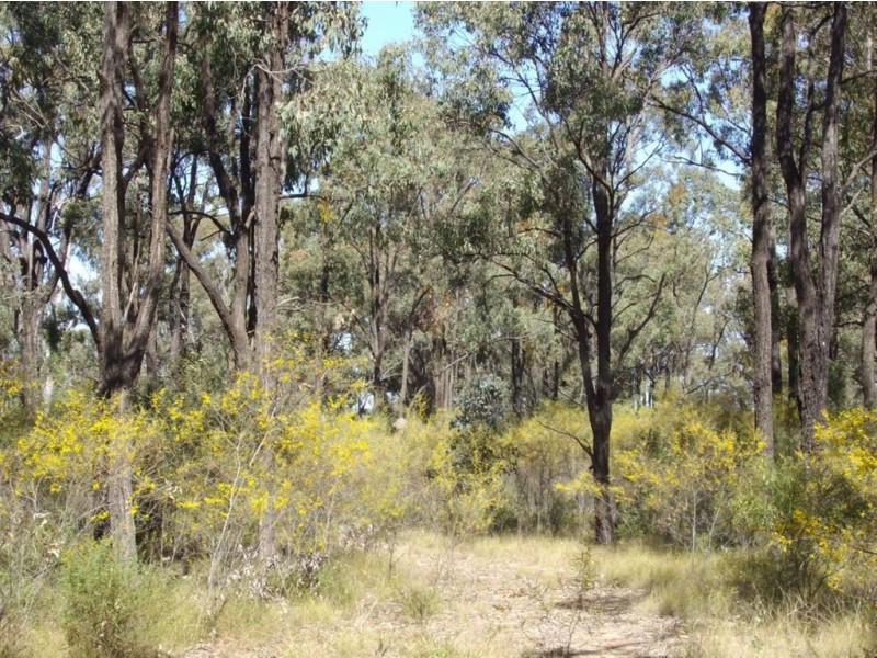 Lot 2 Centenary Road, Goombungee QLD 4354
